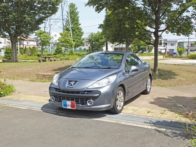 pg207cc1.jpg