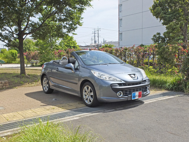 pg207cc2.jpg