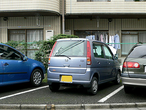 0808291.jpg