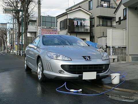 1202031.jpg