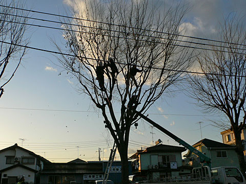 1202211.jpg