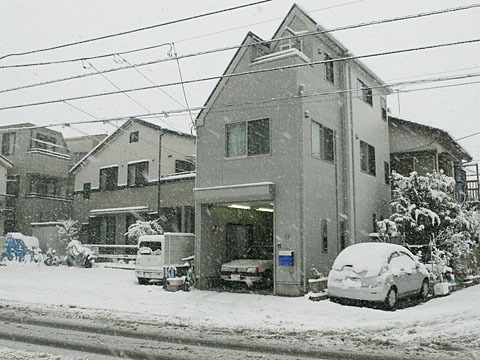 1202291.jpg