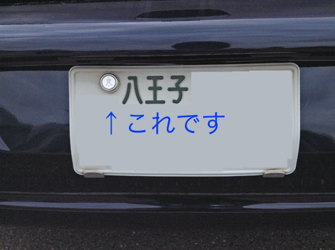 1706262.jpg