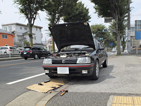1807222.jpg