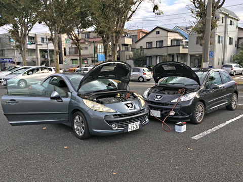 1810231.jpg