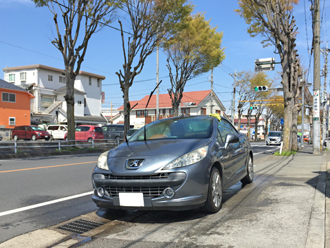 1904052.jpg