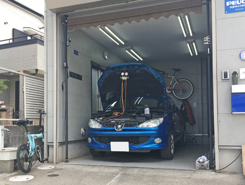 1905091.jpg