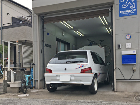 1905142.jpg