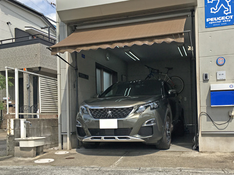 1905151.jpg