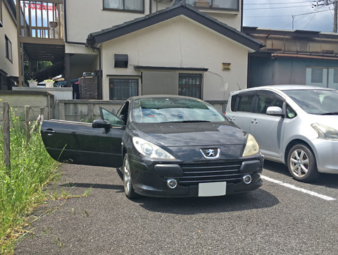 1905161.jpg