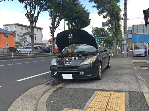 1905192.jpg