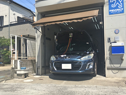 1905261.jpg