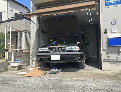 1905262.jpg
