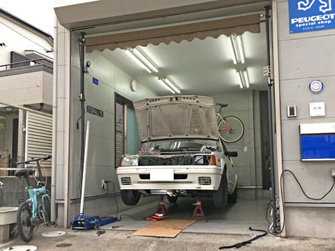 1905291.jpg
