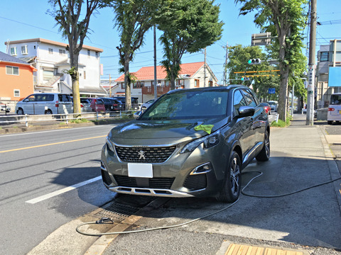 1905301.jpg
