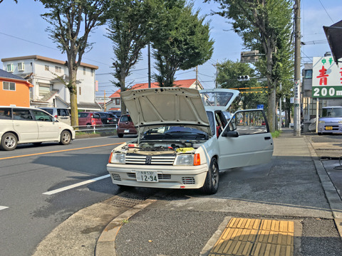 1908181.jpg